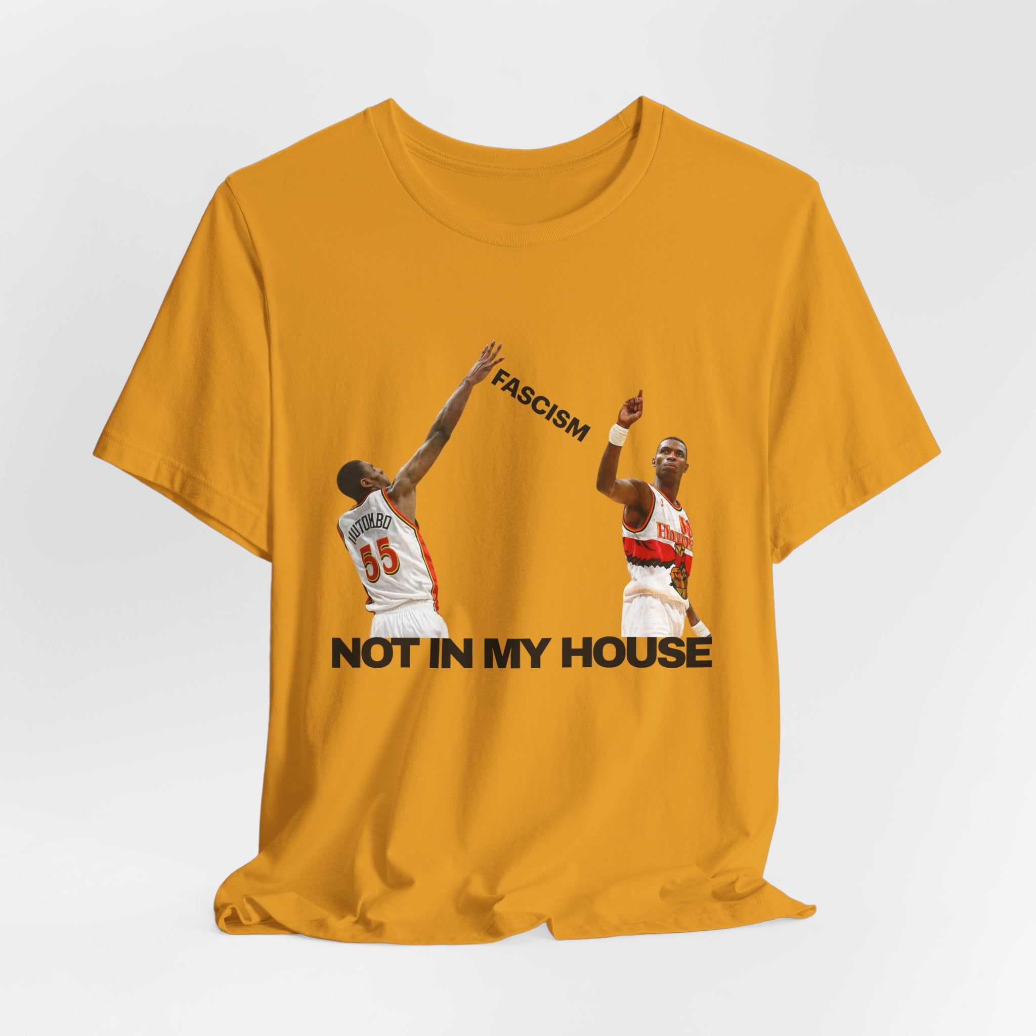 "Not In My House" Anti-Fascism Basketball  Tee